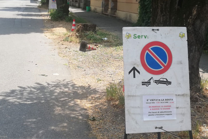 Taglio piante via Monte Nero
