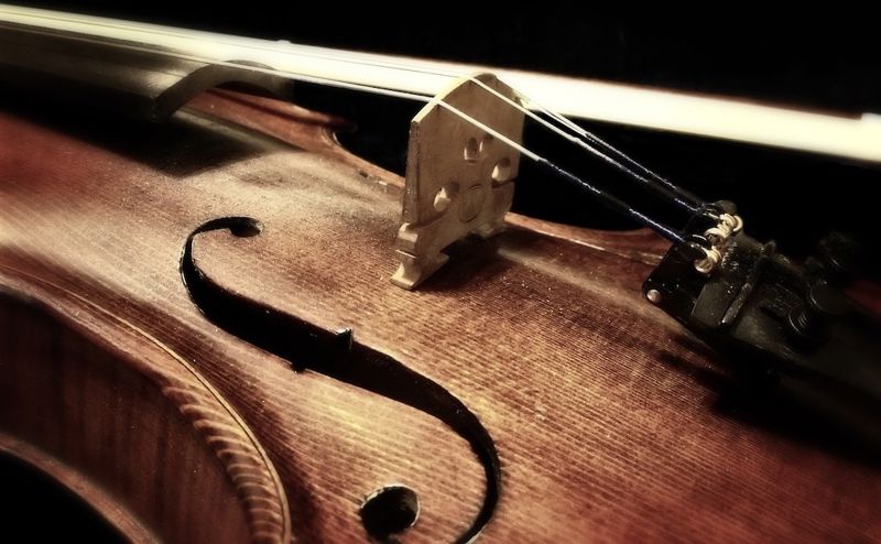 Violino Foto di Pexels da Pixabay