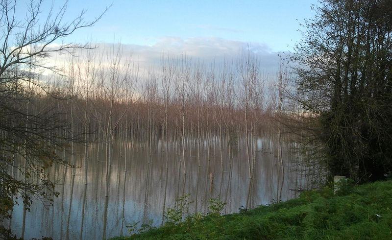 Fiume Po Foto di mdall_olio0 da Pixabay