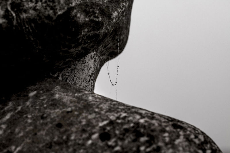 Camposanto (Federico Rebecchi)