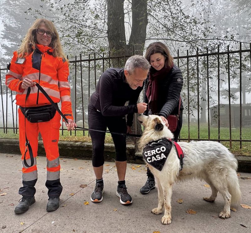 Laura Morelli, Andrea Virgilio, Simona Pasquali