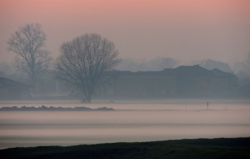 nebbia al tramonto
